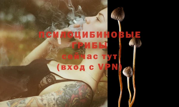 крисы Алексеевка