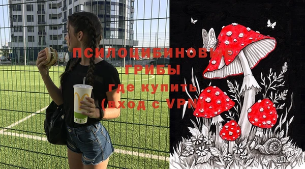 крисы Алексеевка