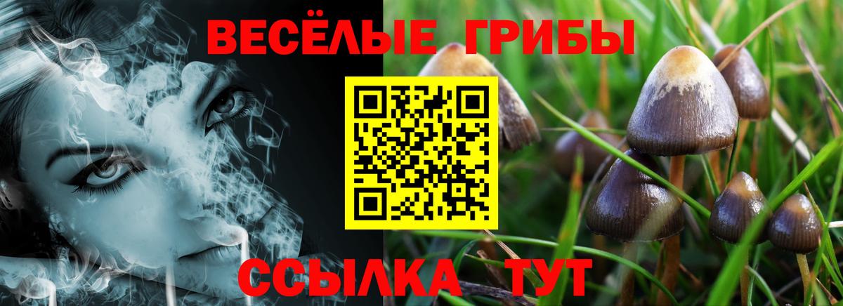 даркнет сайт  Галлюциногенные грибы прущие грибы  Вход с VPN  Галлюциногенные грибы Magic Shrooms  Волоколамск 
